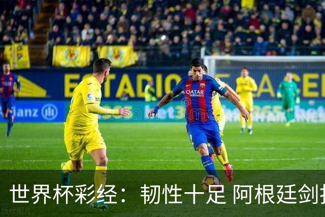 世界杯彩经：韧性十足 阿根廷剑指四强