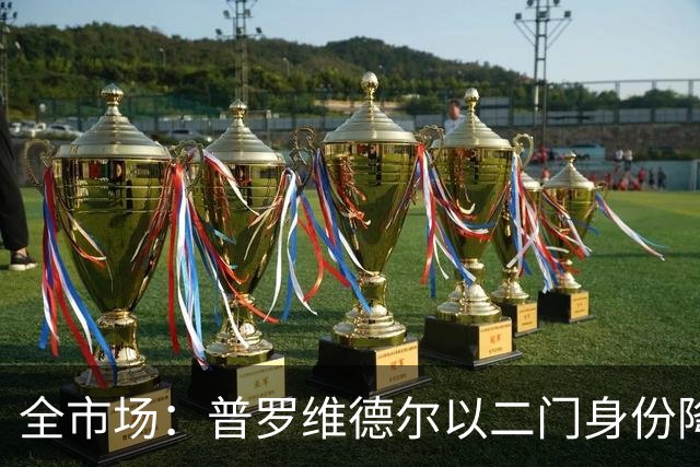 全市场：普罗维德尔以二门身份降薪加盟国米，但他有信心争夺主力