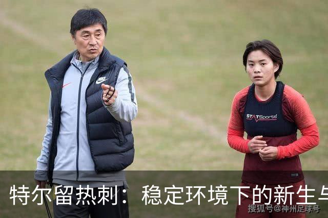 特尔留热刺：稳定环境下的新生与成长