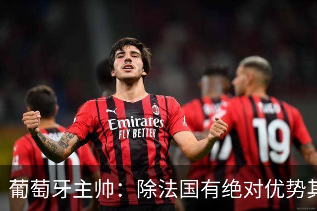 葡萄牙主帅：除法国有绝对优势其他都在毫厘之间 我们不是大热门