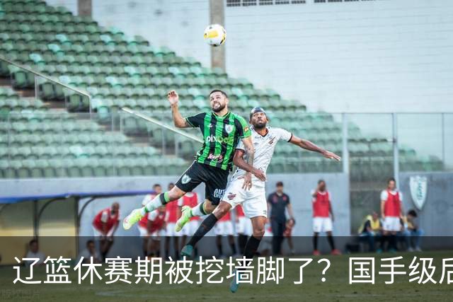 辽篮休赛期被挖墙脚了？国手级后卫恐被交易：变相逼着赵继伟走人